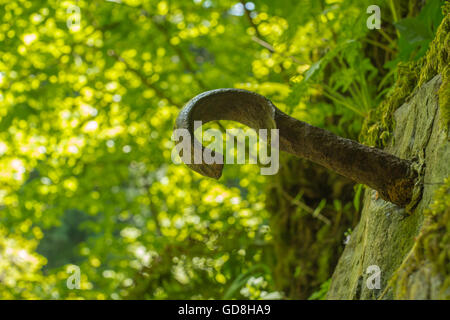 Il gancio in metallo in rock Foto Stock