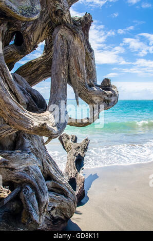 Esercito Bay Whangaparaoa Peninsula a Auckland, Nuova Zelanda Foto Stock