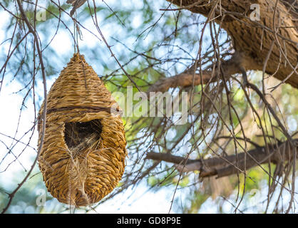 Al Dosari Zoo a Doha, in Qatar. Foto Stock