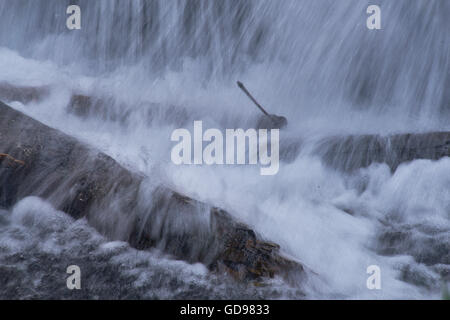 Espanso di acqua che cade sui tronchi Foto Stock