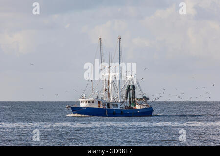 Gabbiani seguire un commerciale barca da gamberetti con un fresco pesce pescato nel porto di Biloxi Mississippi Foto Stock