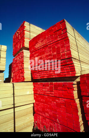 Grandi pile di legname; deposito di legname magazzino Foto Stock