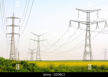 Tralicci di energia elettrica in un campo Foto Stock