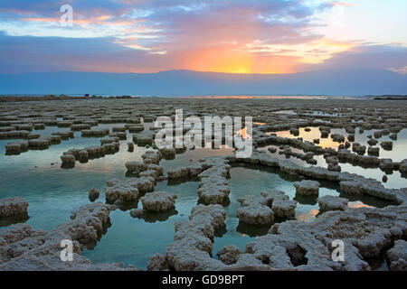 Sunrise oltre la formazione di sale del Mar Morto, Israele Foto Stock