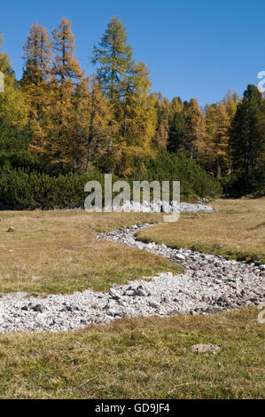 Autunno a Hochmoelbing mountain, Stiria, Austria, Europa Foto Stock