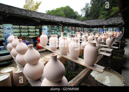 Jingdezhen ceramica il museo della provincia di Jiangxi Foto Stock