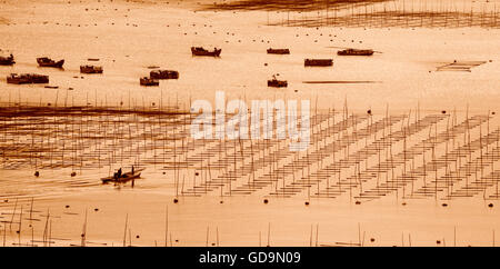 Piane di marea in Xiapu, Fujian Foto Stock