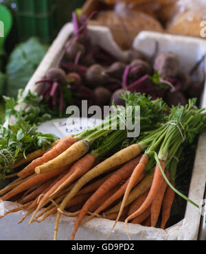 Le carote fresche al mercato verde Foto Stock