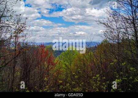 Whitewater Falls, North Carolina, Stati Uniti d'America. Foto Stock