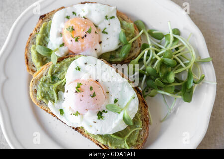 Le uova in camicia con avocado e germogli di semi di girasole sulla pasta madre pane tostato Foto Stock