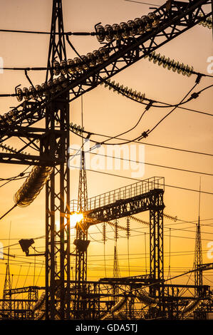 Le linee elettriche, i poli e gli isolatori di vetro in una stazione di alimentazione al tramonto Foto Stock