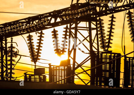 Le linee elettriche, i poli e gli isolatori di vetro in una stazione di alimentazione al tramonto Foto Stock