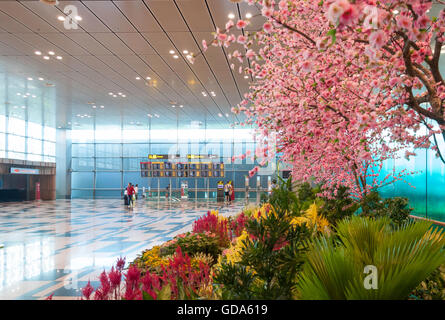 Foto Giardino nel Terminal 2 dell'Aeroporto Changi di Singapore Changi,, Singapore Foto Stock