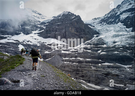 La Svizzera. Oberland Bernese. Luglio 2016a piedi da Eigergletscher lungo la morena del ghiacciaio di Wengen nelle Alpi Svizzere Foto Stock