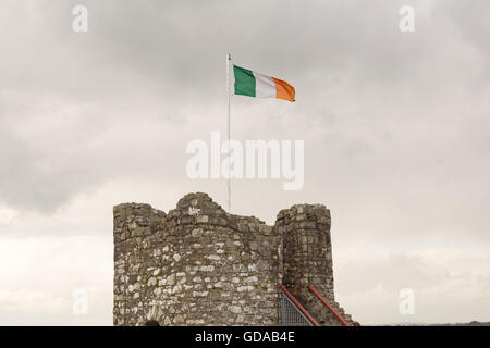 L'Irlanda, nella contea di Meath, torre di castello con bandiera irlandese Foto Stock