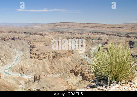 La Namibia, Karas, Fishriver Canyon, guardando in giù nel canyon Foto Stock