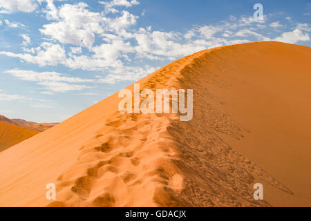 La Namibia, Hardap, Sossusvlei, Dune, sulla duna 45 Foto Stock