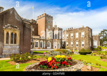 Fiori di primavera presso il Castello di Powderham, casa di Earls del Devon a Kenton, vicino a Exeter Devon, Inghilterra, Regno Unito Foto Stock