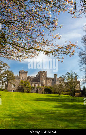 Fiore di primavera presso il Castello di Powderham, casa di Earls del Devon a Kenton, vicino a Exeter Devon, Inghilterra, Regno Unito Foto Stock