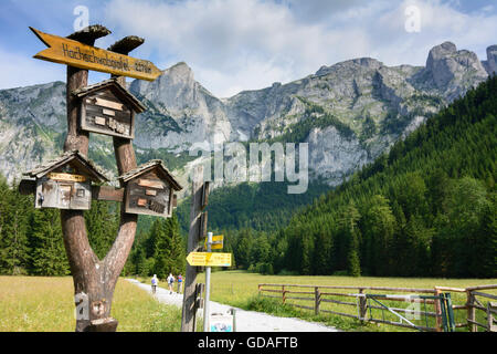 Hochschwab montagne: segni di pascoli aperti prima di montagne di Hochschwab mountain range, Austria, Steiermark, Stiria, Foto Stock