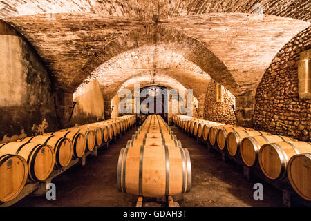 Cantina con una speciale edizione in attesa del vino in barriques per alcuni anni fino a quando non è pronto a Chateau la Nerthe. Foto Stock