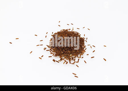 Grani di riso rosso Foto Stock