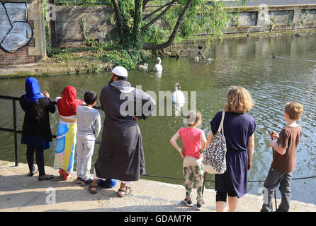 Un multi gruppo etnico guardando i cigni su Regents Canal da York Way, vicino a Kings Cross, a nord di Londra, Inghilterra, Regno Unito Foto Stock