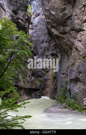 Aare Gorge vicino a Meiringen nella Svizzera Oberland bernese Foto Stock