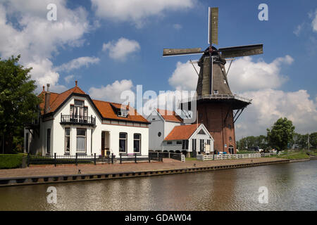 Il mulino a vento Zwaluw lungo il fiume Dokkumer Ee nel villaggio frisone Burdaard Foto Stock