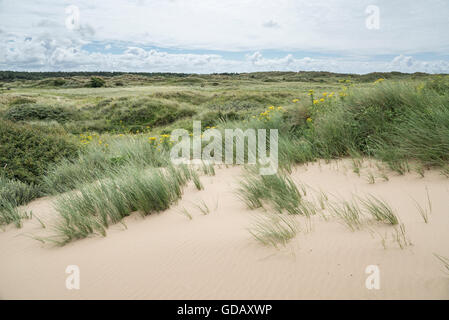 Le ampie dune a Formby punto sulla costa del Merseyside. Foto Stock