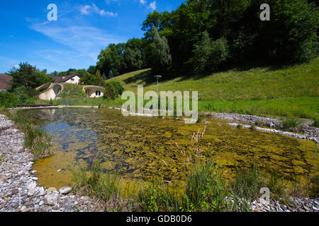 Casa di massa,il tetto verde,Svizzera Foto Stock