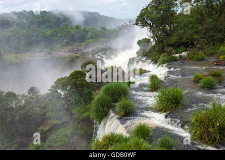 Cascate di Iguassù,Argentina Foto Stock