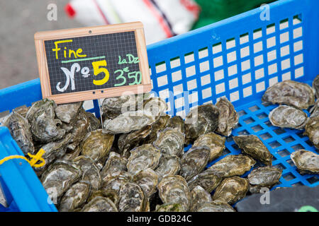 Oyster di dimensioni Marenes numero 5 ("ammenda numero 5" in francese) per il mercato locale Foto Stock