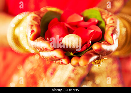 1 indian donna adulta sposa Mandap petalo di fiore a mani cupped Foto Stock