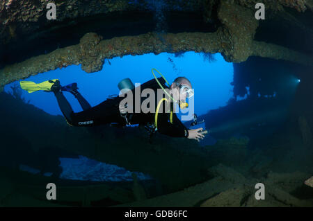 Maschio sub all'interno del relitto della SS Dunraven, Mar Rosso, Egitto Foto Stock