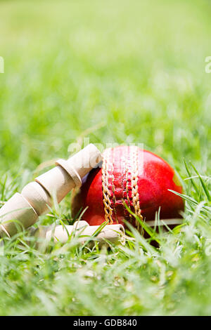 Giochi di cricket di erba di tensionamento e la sfera n. persone Foto Stock