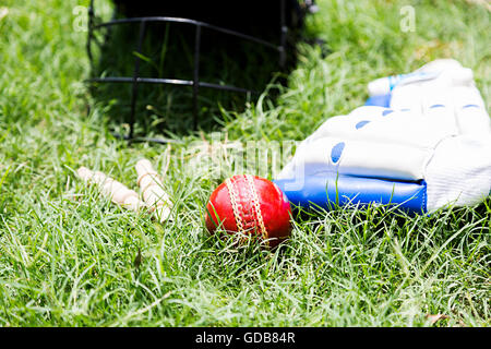 Giochi di cricket di erba Sfera attrezzatura, bails, guanti , casco Foto Stock