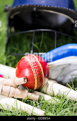 Giochi di cricket di erba Sfera attrezzatura, bails, guanti, casco, ceppi Foto Stock