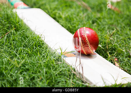 Giochi di cricket di erba Sfera attrezzatura e bat nessuno Foto Stock