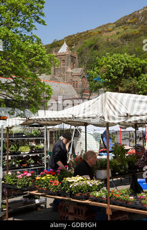 Regno Unito Galles, Gwynedd, Barmouth, mercato settimanale, impianti in stallo Foto Stock