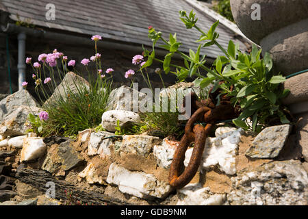 Regno Unito Galles, Gwynedd, Barmouth, 'rock' old town, parsimonia fiori e catena di ruggine sulla parete Foto Stock