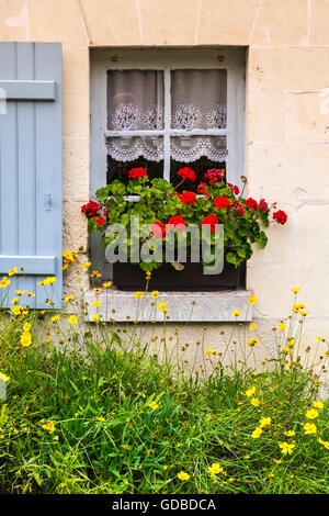 Vecchia casa con gerani in Window box - Francia. Foto Stock