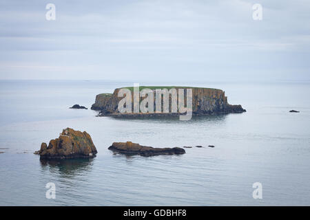 Affioramenti rocciosi in mare irlandese vicino a Carrick-a-Rede ponte di corde, Ballycastle, Irlanda del Nord, Regno Unito Foto Stock