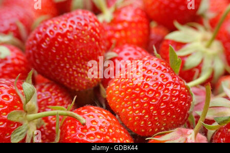 Una pila di prodotti freschi, rosso Fragole Foto Stock