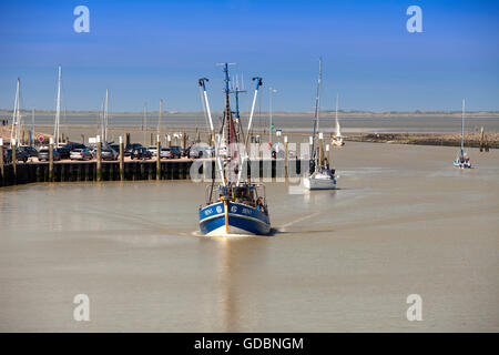 Natanti adibiti alla pesca di gamberetti nella zona del porto, Greetsiel, Leybucht, Krummhoern, Frisia orientale, Bassa Sassonia, Germania, Europa Foto Stock