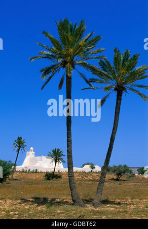 Moschea in Fadhloun, isola di Djerba, Tunisia Foto Stock