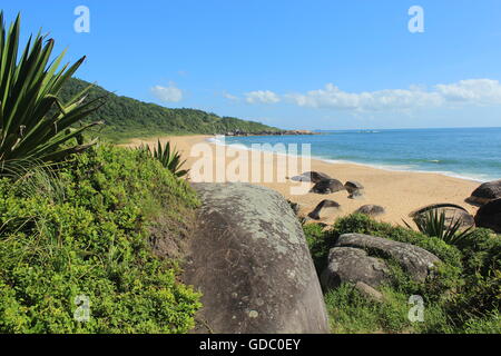 Bellissima spiaggia in Brasile souhern Foto Stock