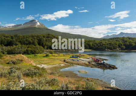 Sud America,Tierra del Fuego,l'Argentina,Ushuaia,Tierra del Fuego,Parco Nazionale Foto Stock