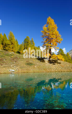 Lac Bleu,Dent de Perroc,Vallese, Svizzera Foto Stock