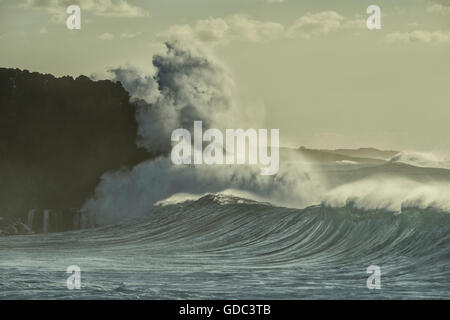 Stati Uniti d'America,Hawaii,Molokai,Kepuhi beach,West Molokai Foto Stock